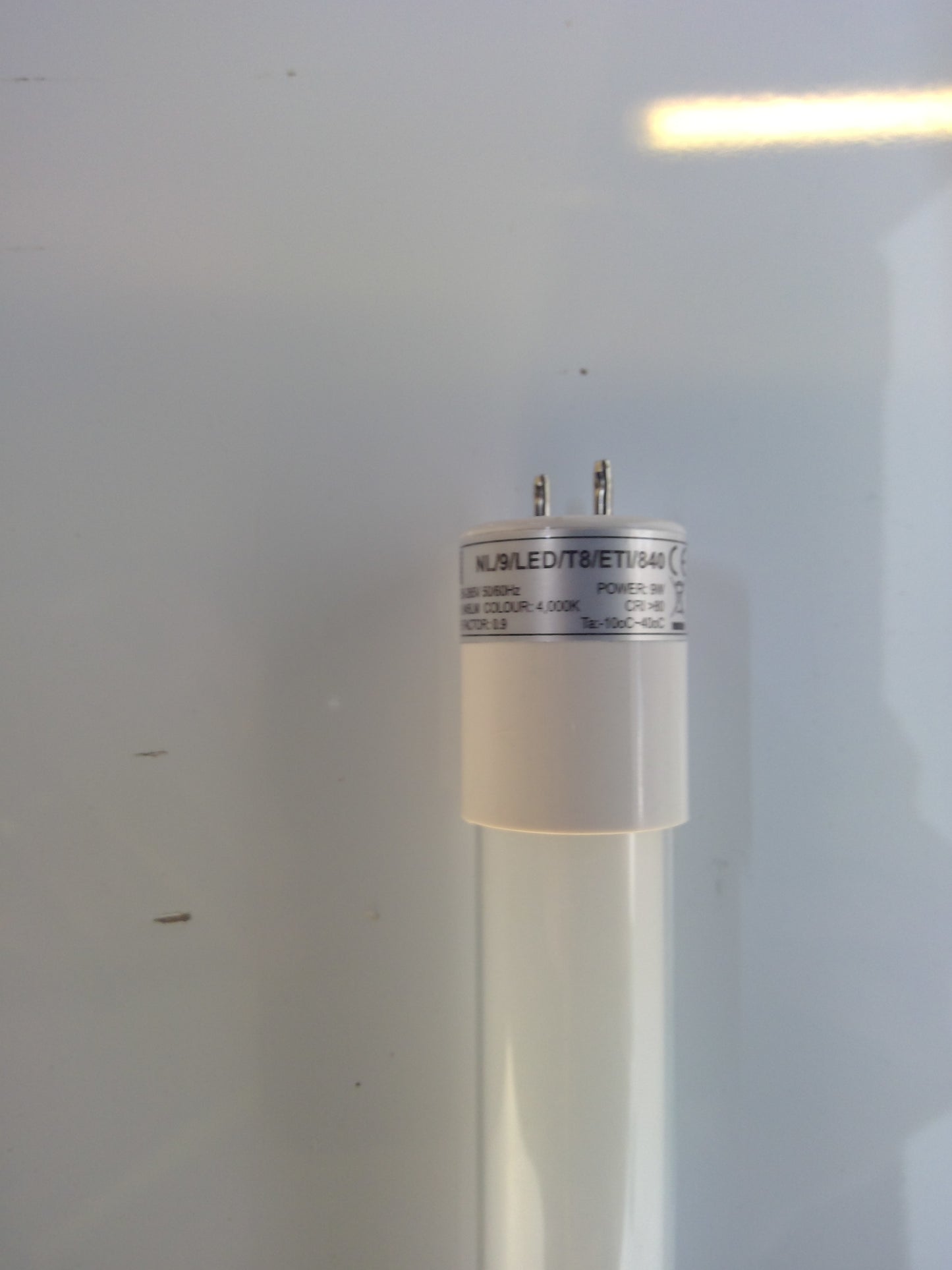 *NEW* Rentokil F15 T8 350 BL Fly Killer Bulb - Robot Hub